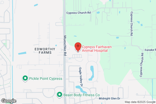 Fairhaven Animal Hospital