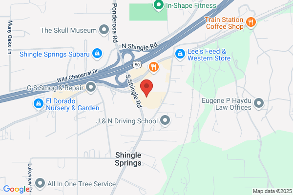 Timmerman Rapid Tree Service