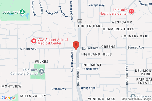 Homewatch CareGivers of Folsom