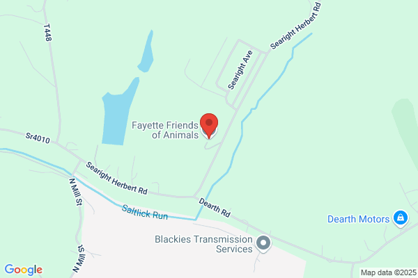 Fayette Friends of Animals