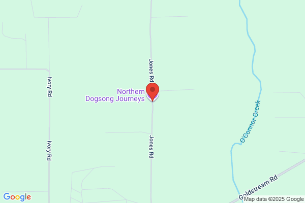 Northern Dogsong Journey's