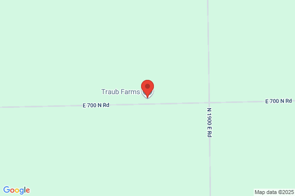 Traub Real Estate