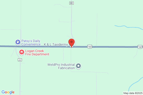 K & L Taxidermy