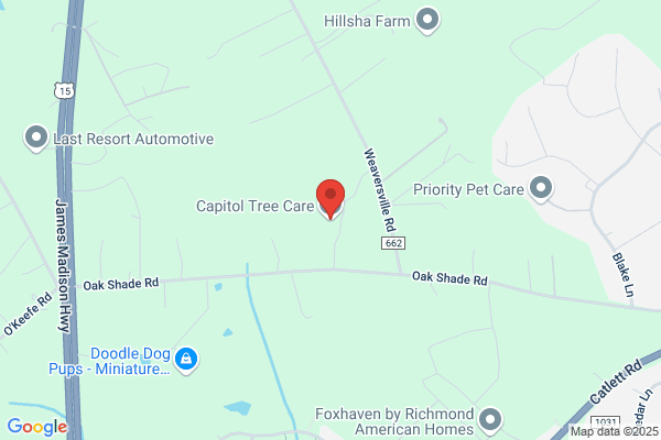 Capitol Tree Care