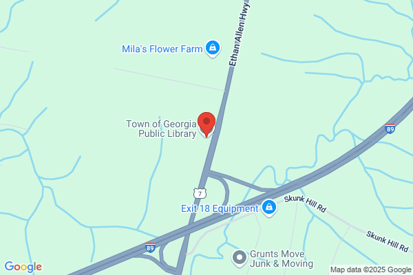 Georgia Town of Public Library