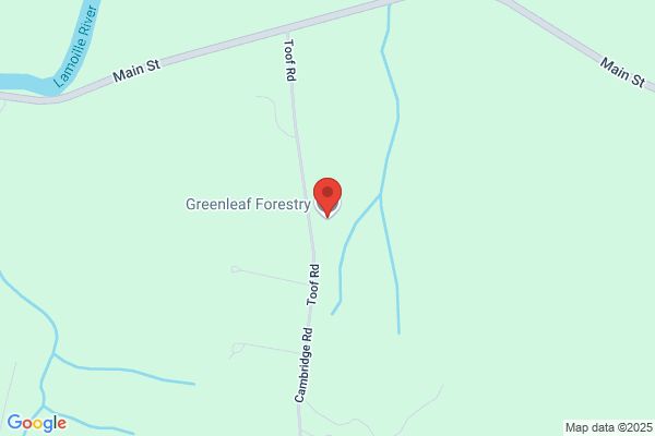 Greenleaf Forestry