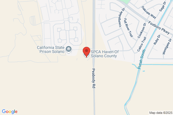 Spca Haven-of Solano County