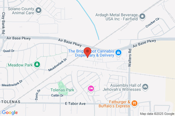 Pauli Systems Inc