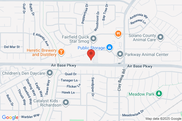 Roto-Rooter Plumbing & Drain Services