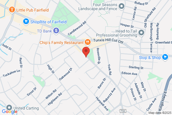 Romanelli Joseph Dr Dentist