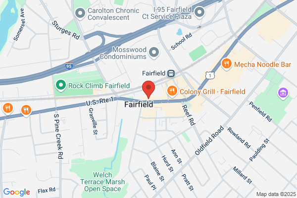 Palooza At Fairfield Art