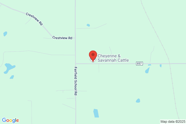 Cheyenne Cattle Country
