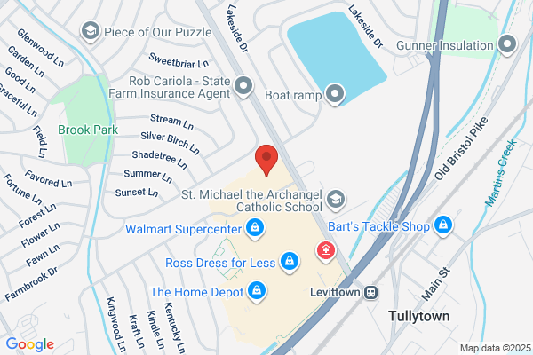 Advance Auto Parts
