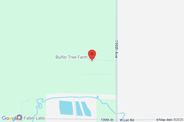 Bulfer Tree Farm