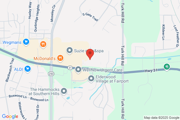 Rochester Endodontics