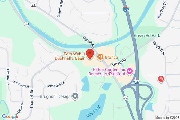 Tom Wahl's Bushnell's Basin