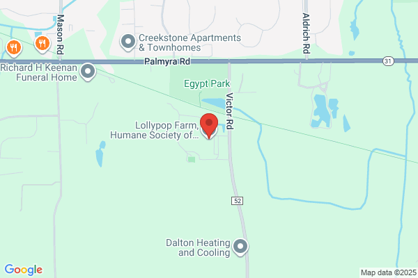 The Humane Society At Lollypop Farm