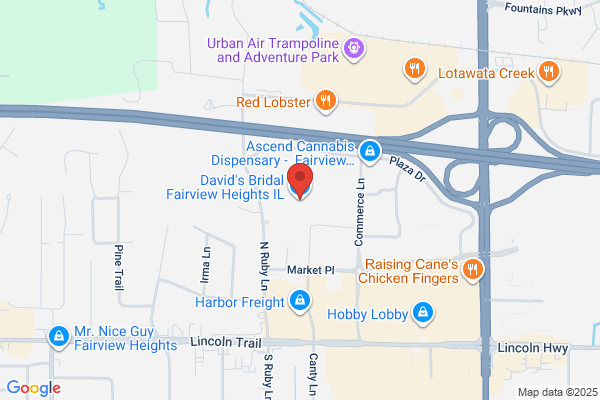 David's Bridal Fairview Heights IL