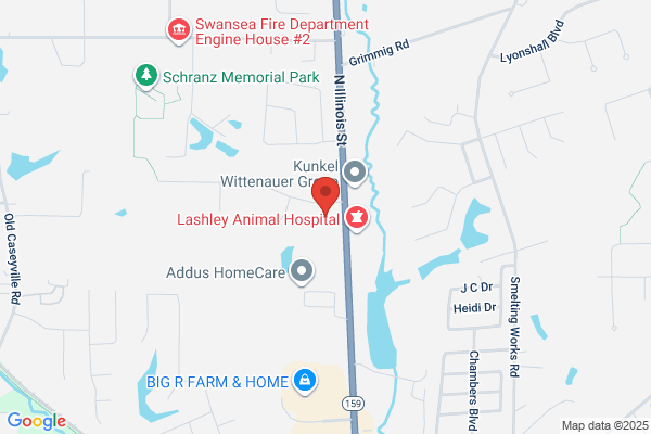Elite Imaging of Fairview Heights
