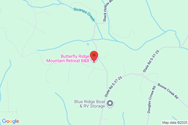 Bear & Butterfly Bed & Breakfast