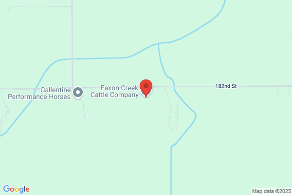 Nicollet Cattle Co Inc