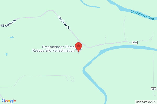 Dreamchaser PMU Rescue & Rehab