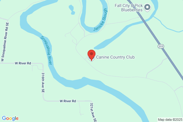 Canine Country Club