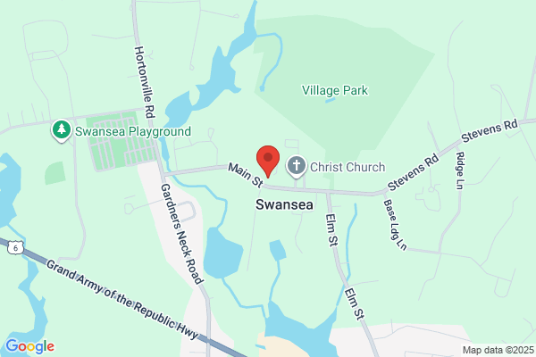 Swansea Town of, Town Nurse