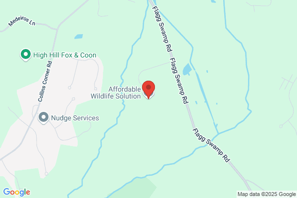 Garys Wildlife Services