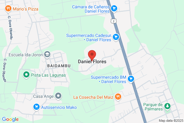 Daniel Flores, DDS, MS