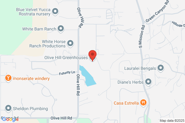 Olive Hill Greenhouses