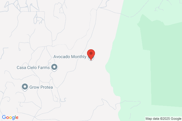 Avocado Monthly