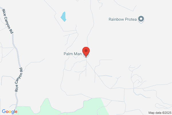 Palm Man the