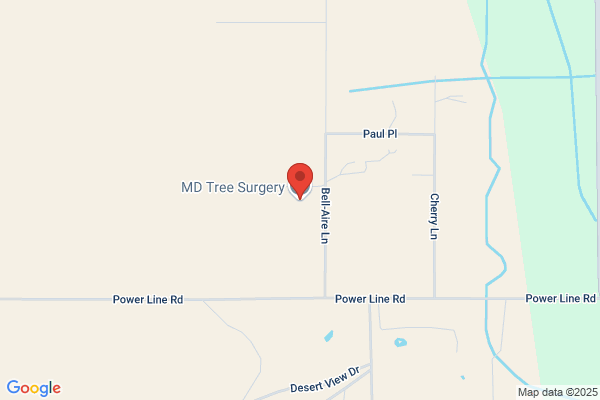 MD Tree Surgery