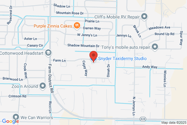 Silver Range Taxidermist Studio