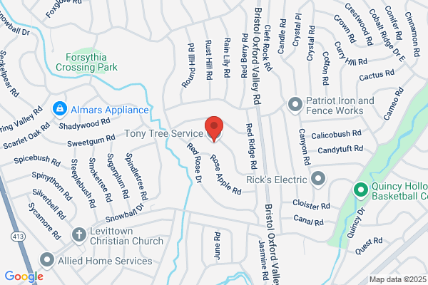 Tony Tree Service
