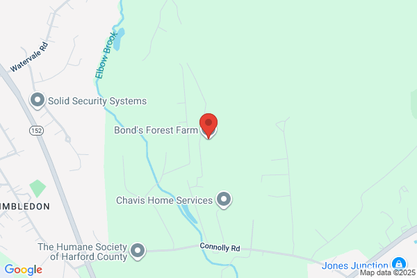 Bonds Forest Farm