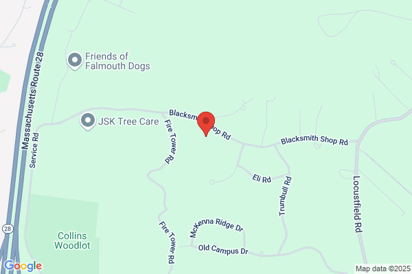 C P Murphy Tree Care