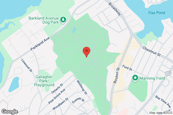 Pine Grove Cemetery Corporation