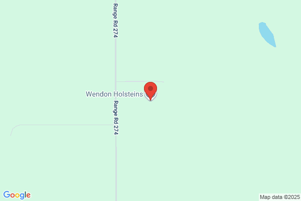 Endroad Farms-Registered Holsteins