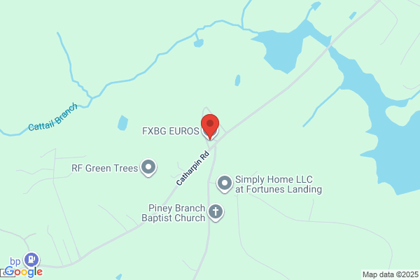 Eurotech Auto Service