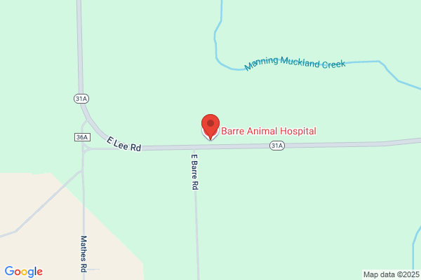 Barre Animal Hospital