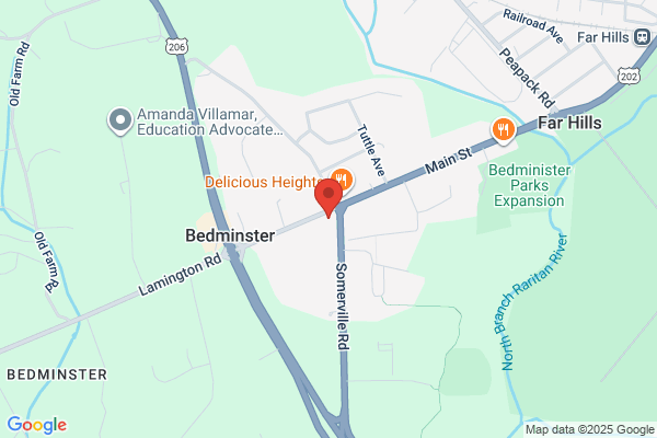 Bedminster Pizza