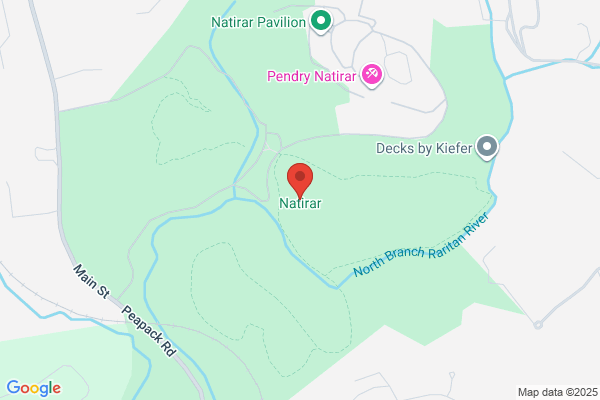 Peapack Travel