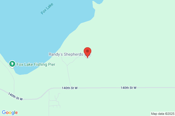 Randy's Shepherds