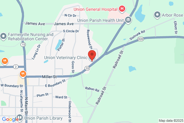 Brantley Marlon B Veterinarian