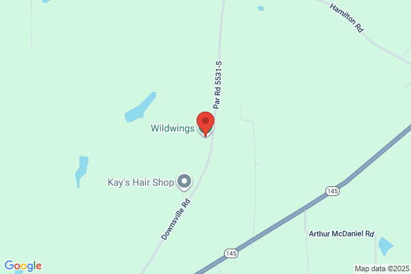 Wildwings