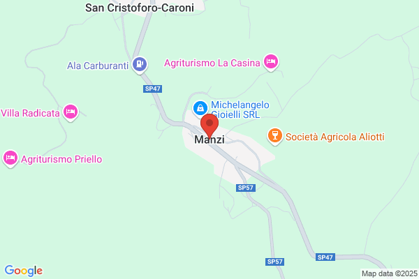Manzi, Pino & Company, P.C.