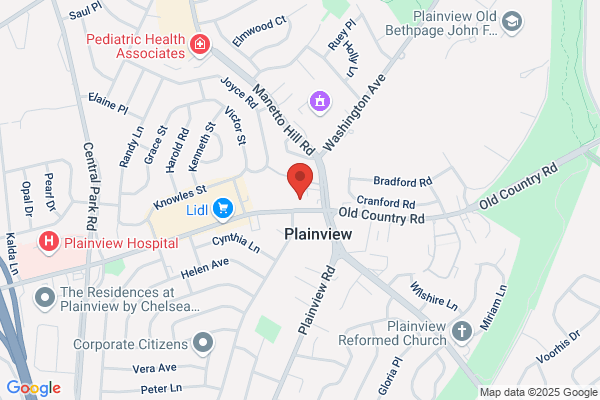 Plainview Diner Inc