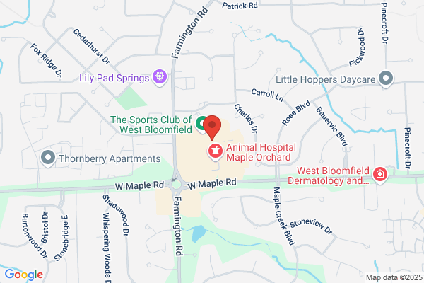 The Sports Club Physical Therapy of West Bloomfield